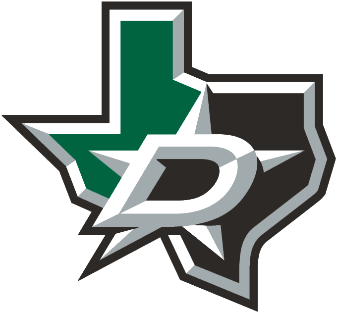 Dallas Stars 2013-Pres Alternate Logo fabric transfer version 2